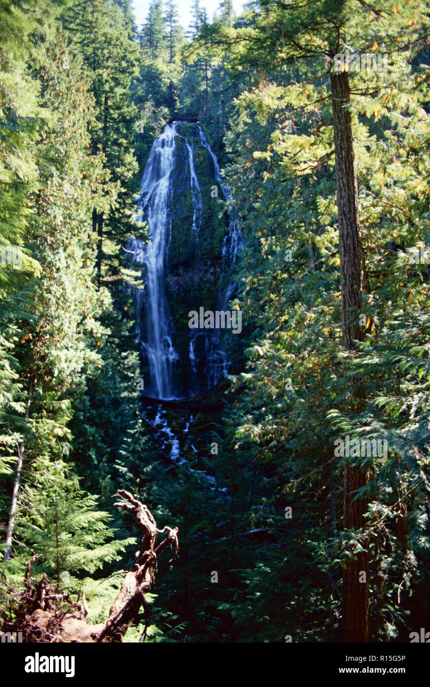 Proxy inferiore cade,Tre Sorelle deserto,Willamette National Forest,Oregon Foto Stock