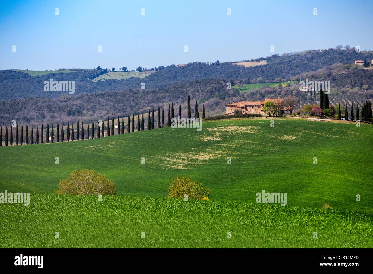 Toscana, Italia Aprile 6, 2017: consente di visualizzare la vista del tipico paesaggio toscano con viali di cipressi. Foto Stock