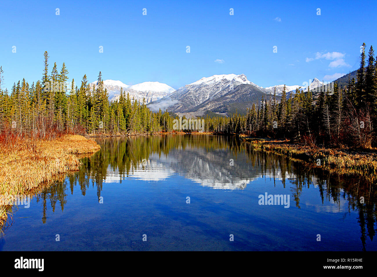 Centro Lago Bow Valley Provincial Park, Alberta, Canada Foto Stock