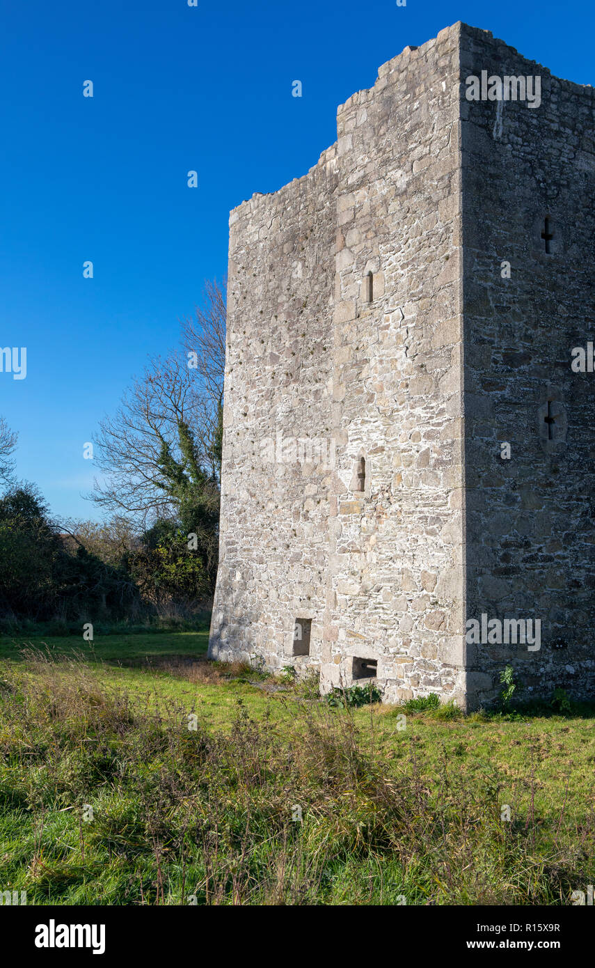 Threecastles Tower House, Blessington, County Wicklow, Irlanda Foto Stock