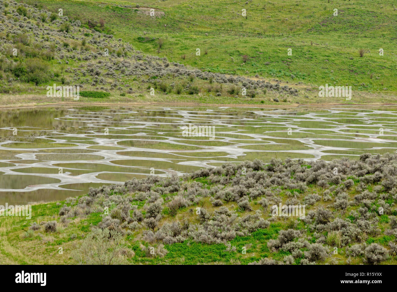 Macchiato il lago, vicino Osoyoos, BC, Canada Foto Stock