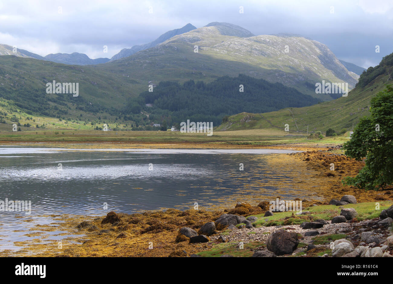 Bella vista sul Loch Sunart verso Garbh Beinn, vicino Strontian nella bellissima Highlands della Scozia. Foto Stock