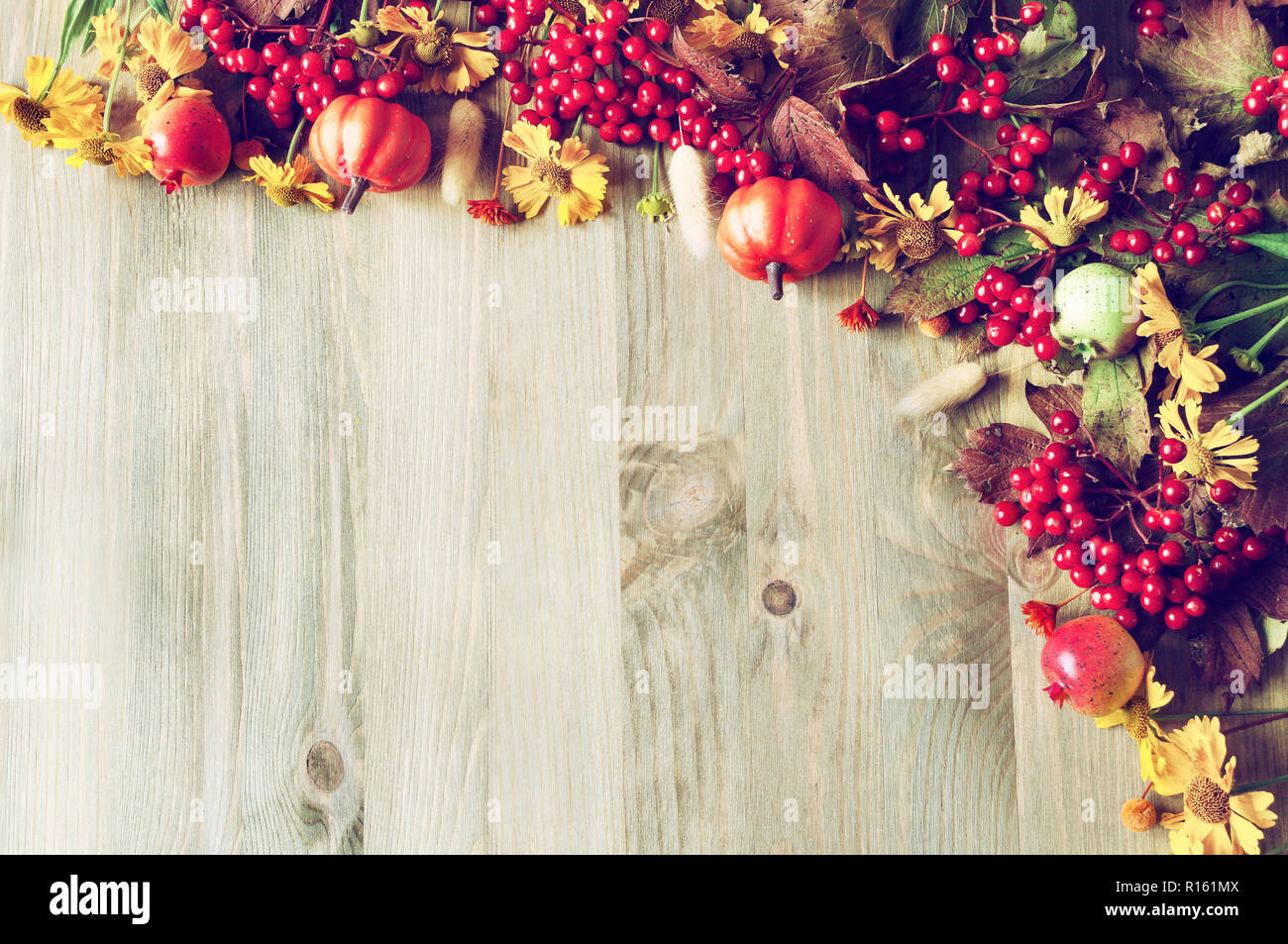 La Giornata del ringraziamento autunno sfondo stagionale con la natura in autunno bacche, zucche, mele e fiori sullo sfondo di legno Foto Stock