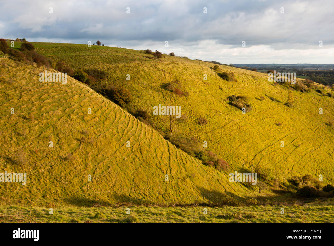 Il Devil's impastando trogolo durante la luce autunnale tardo pomeriggio, Wye Downs, Kent, UK, parte del Kent Downs AONB. Si è formato durante la peri-glaciazione. Foto Stock