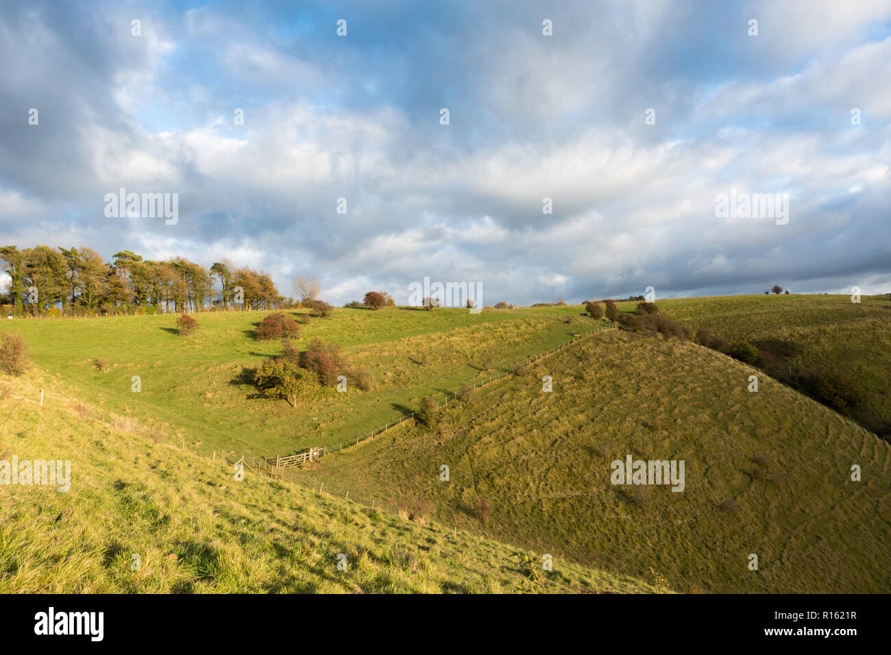 Il Devil's impastando trogolo durante la luce di autunno tardo pomeriggio, Wye Downs, Kent, UK. Questo fa parte del Kent Downs AONB. Foto Stock