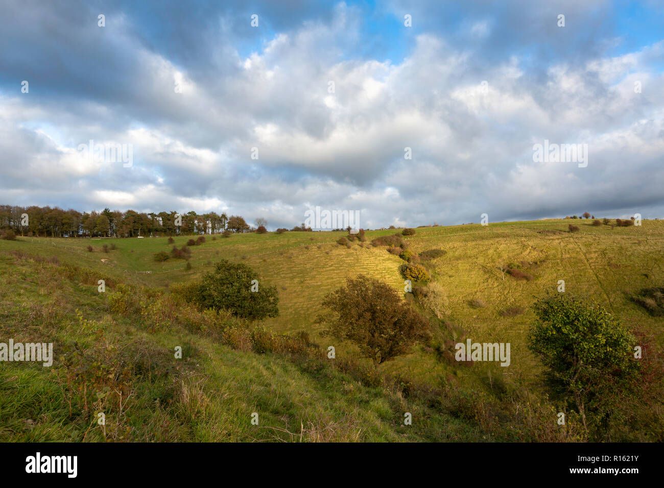 Vista dal canale di impastamento del Diavolo, Wye Downs, Kent, Regno Unito. Questo fa parte del Kent Downs AONB. Durante la luce autunnale del tardo pomeriggio. Foto Stock