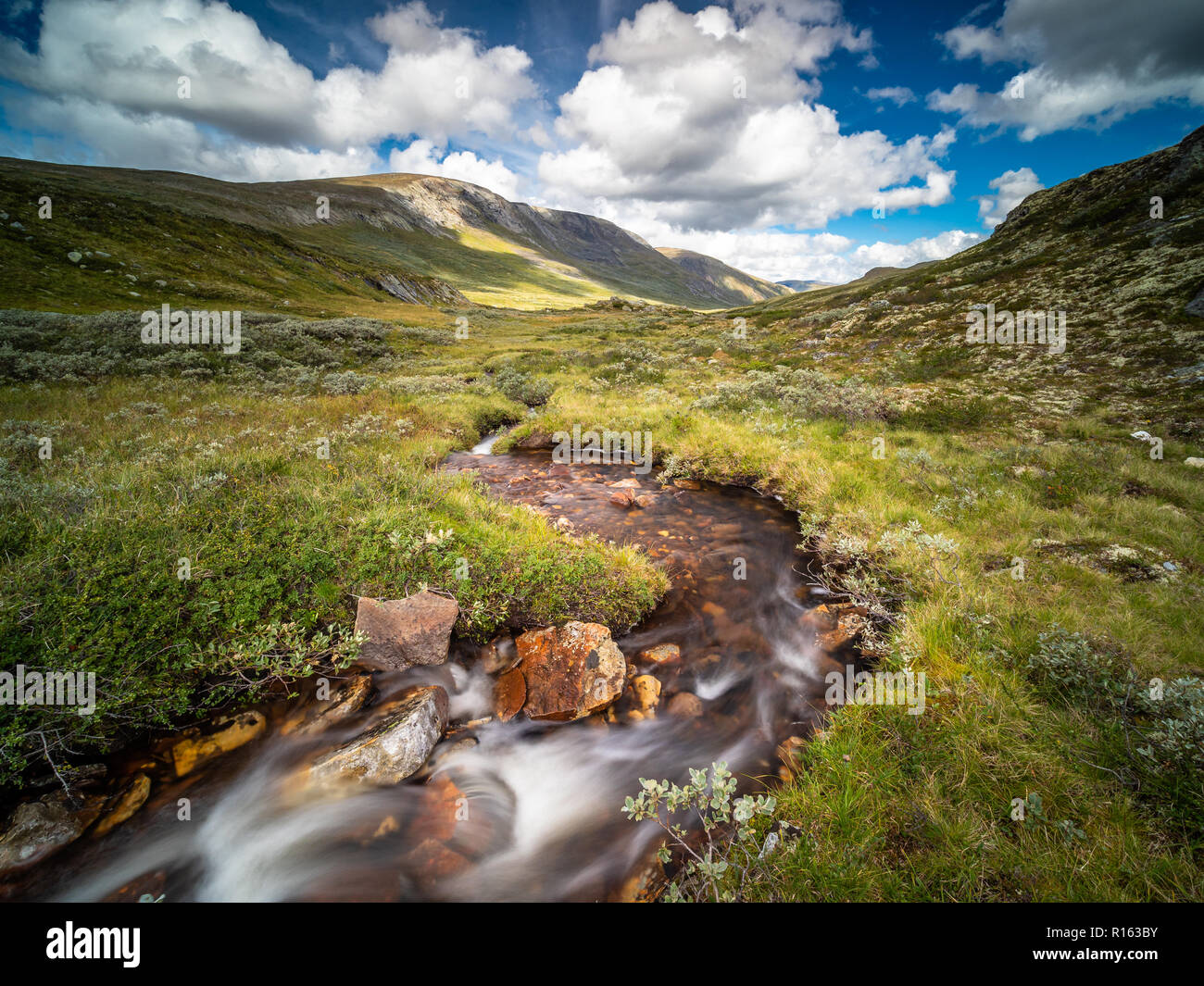 I campi di Dovre parco nazionale. Foto Stock