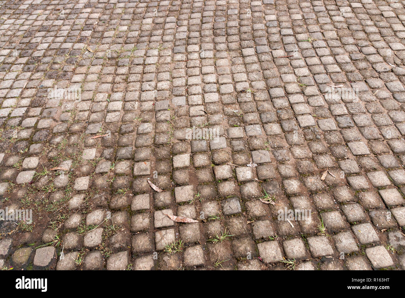 Una vista ravvicinata del piccolo quadrato di cemento pavimentazione irregolare su un viale di accesso esterno Foto Stock