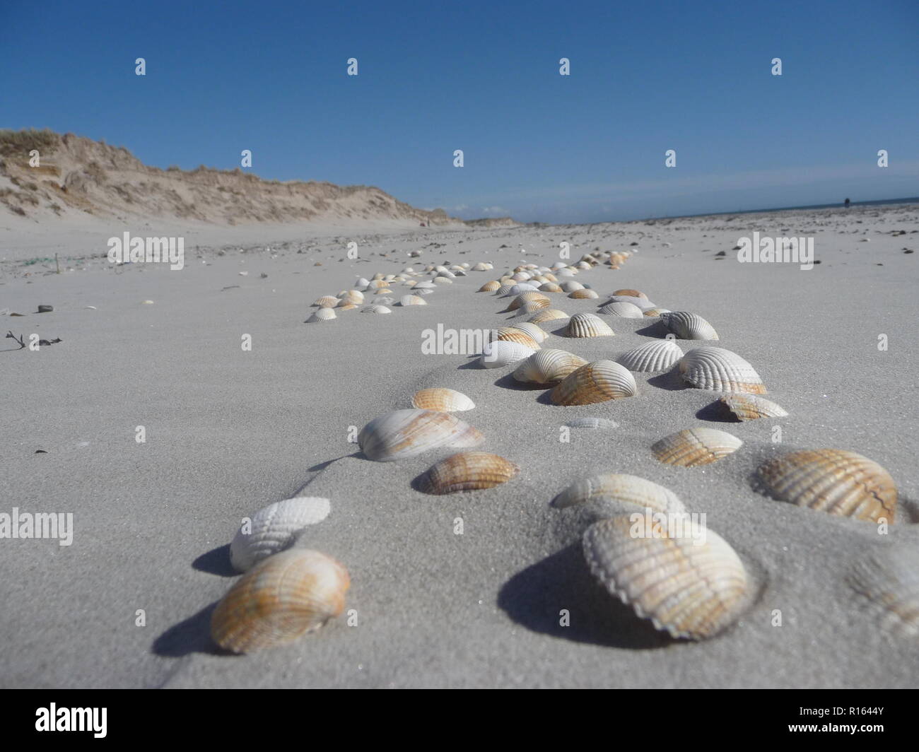 Lo splendido paesaggio di Blavand Danimarca Foto Stock