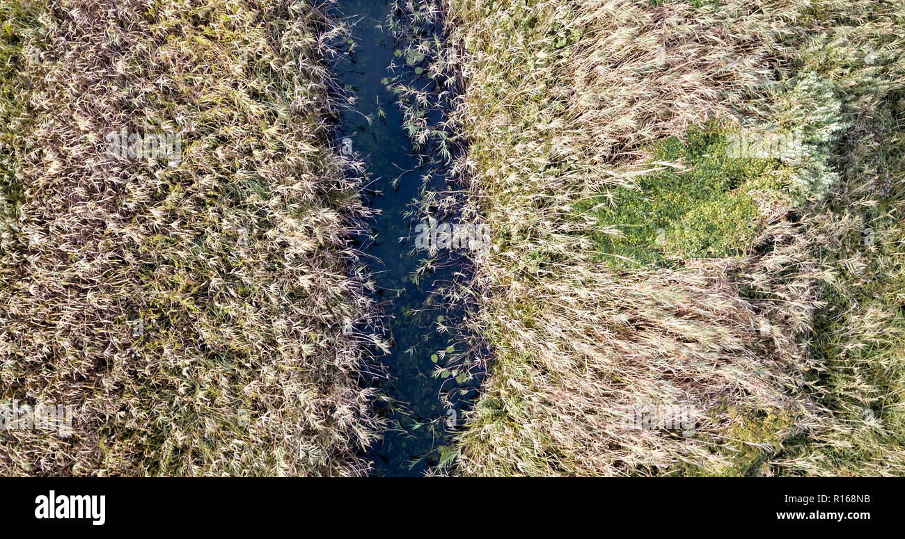 Pettine sul delta del Neretva, Croazia Foto Stock