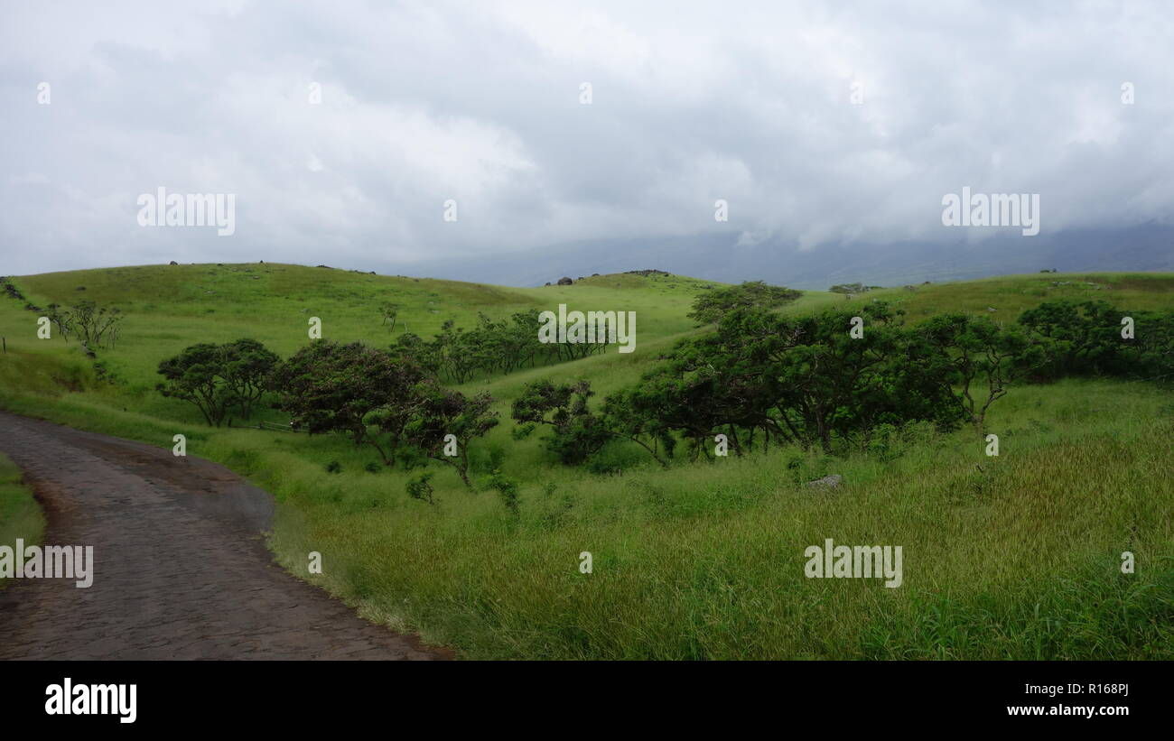 L'altra strada di Hana, Maui Foto Stock