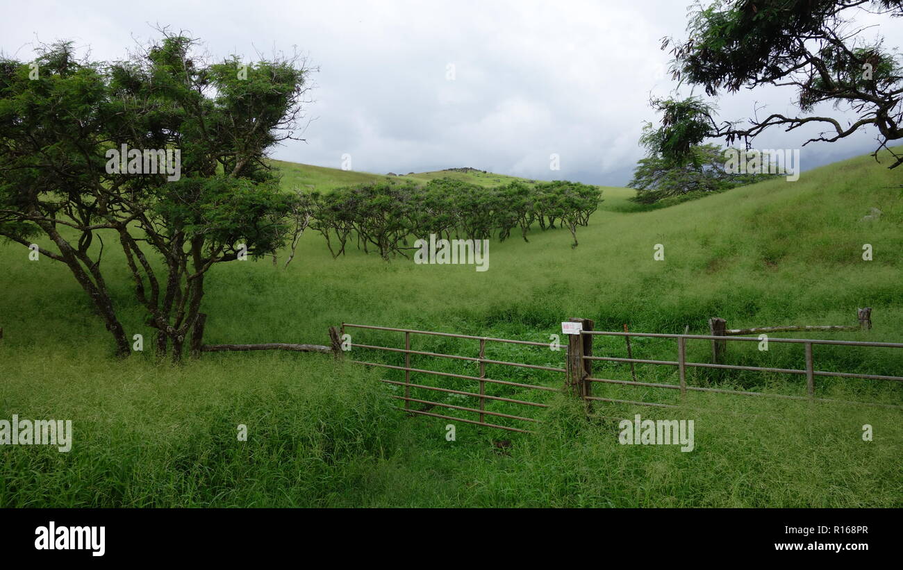 L'altra strada di Hana, Maui Foto Stock