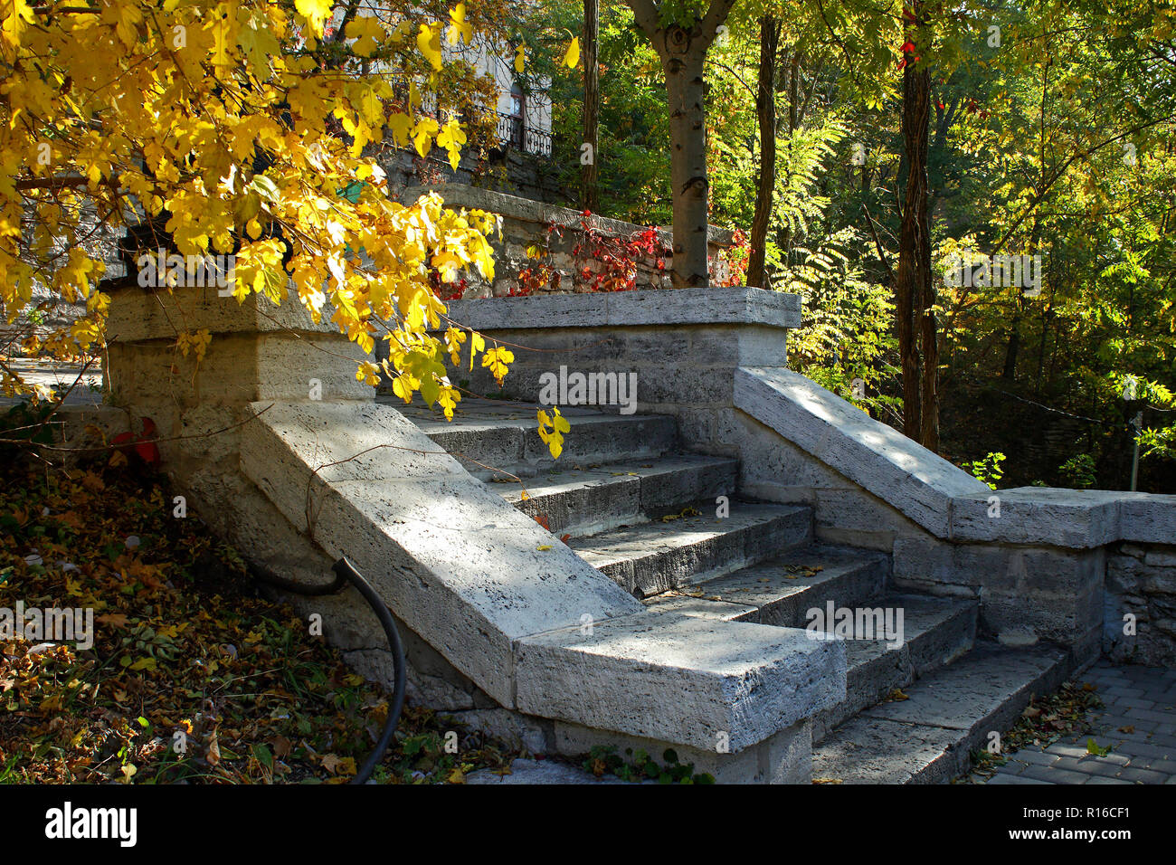 Il vecchio le scale nel parco nella giornata d'autunno. Foto Stock