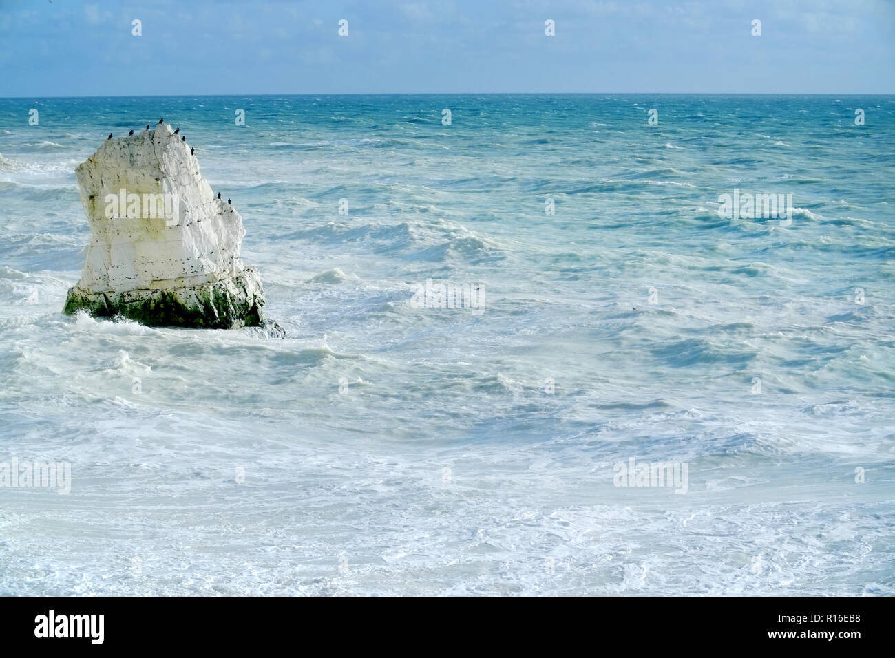 Seaford. East Sussex, Regno Unito. Il 9 novembre 2018. Bianco gessoso acqua circonda il chalk scogliere di Seaford Testa, East Sussex. Il colore lattiginoso viene creata dal mare mosso agitazione fino sciolto chalk da recenti cliff cade. Credito: Peter Cripps/Alamy Live News Foto Stock