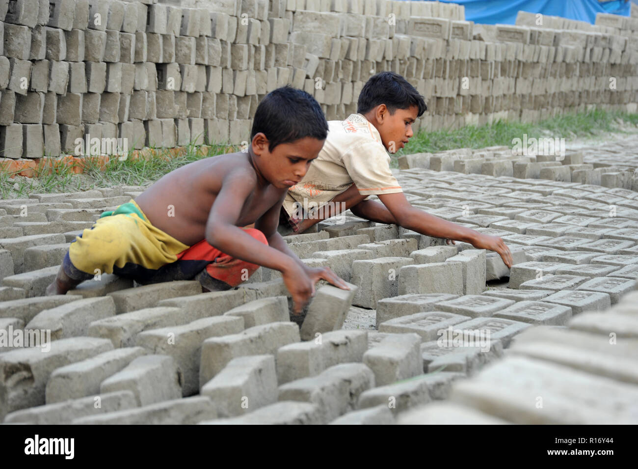 Dacca in Bangladesh - Novembre 15, 2009: bambino fatiche lavoro presso il campo di mattoni a Amin bazar di Dhaka. La maggior parte dei bambini che lavorano questo lavoro pericolosi per t Foto Stock