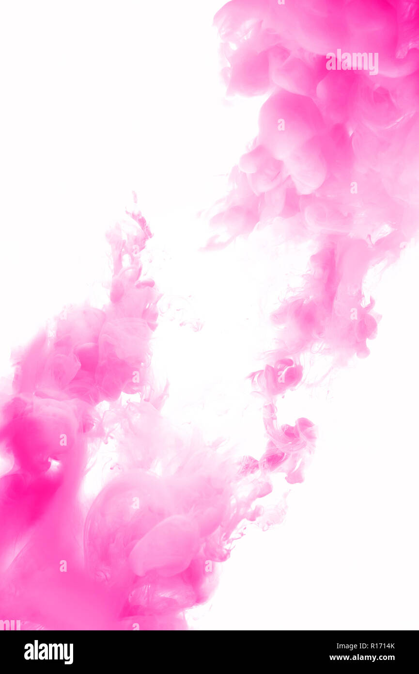 Bella colorata di rosa astratto e sfondo bianco Foto Stock