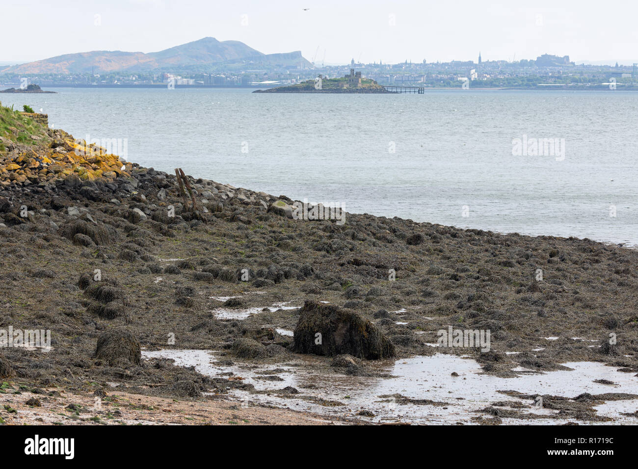 Skyline Edinburgh visto da Inchcolm isola nel Firth of Forth Foto Stock