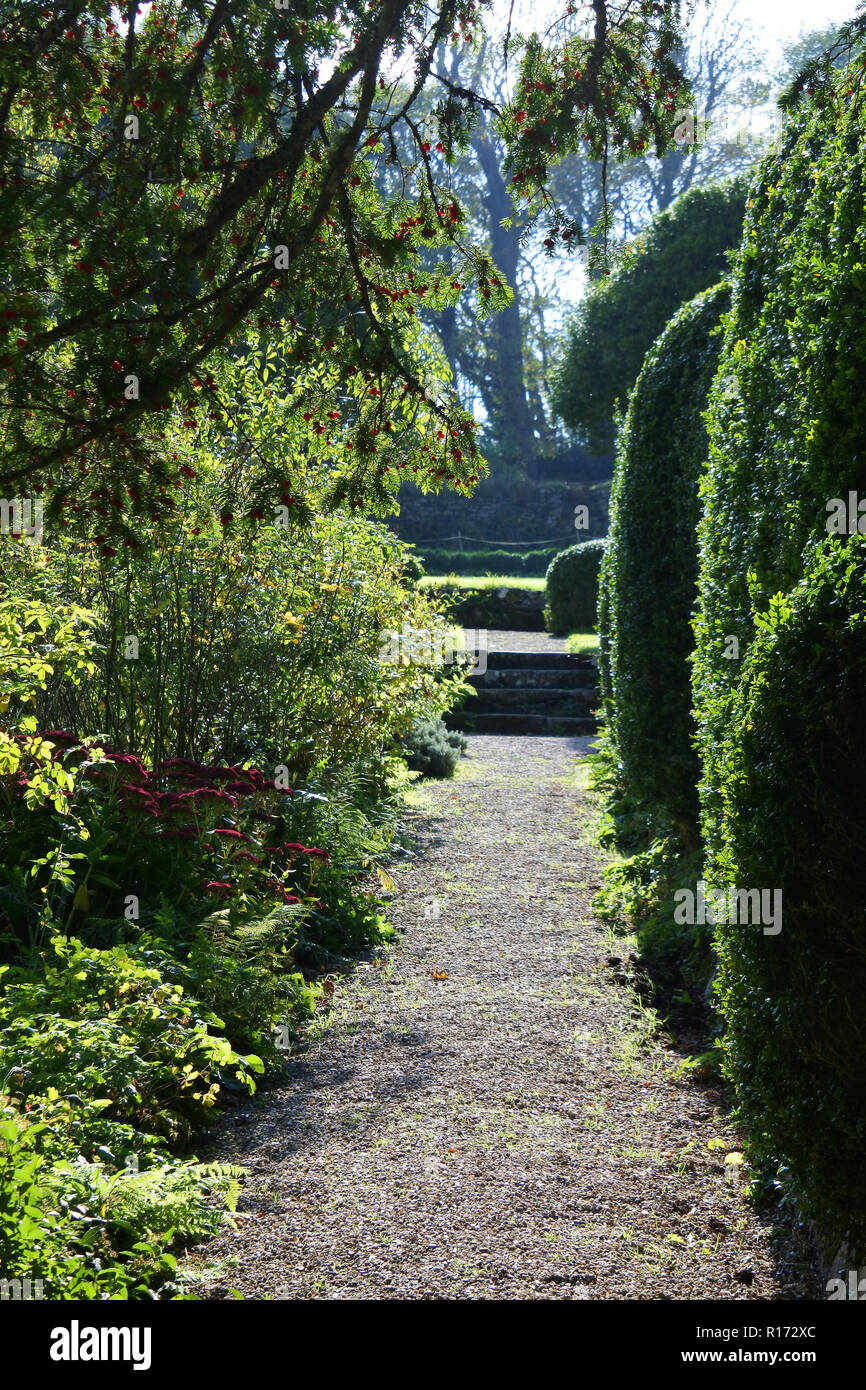 Cornish giardino immerso nella luce del sole autunnale - Giovanni Gollop Foto Stock