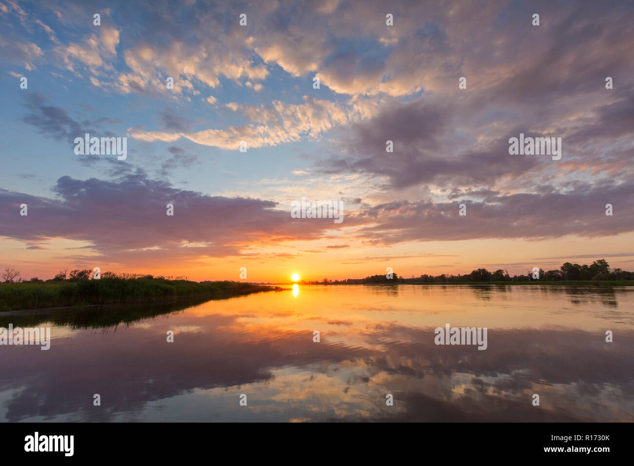 Di Oderbruch, paesaggio di brughiera e il fiume Oder al tramonto vicino Oderberg, Brandeburgo nella Germania orientale Foto Stock