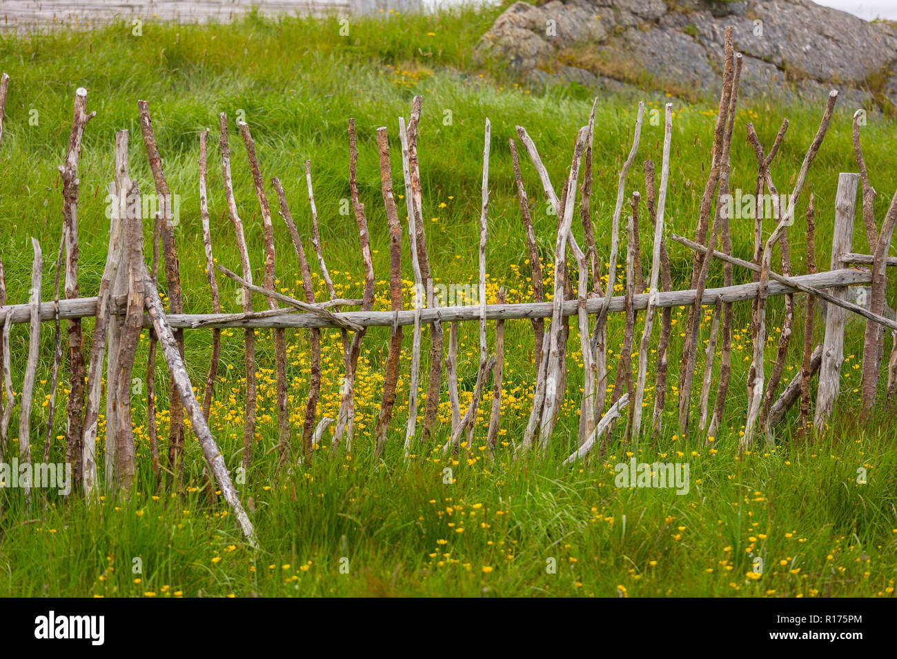 CAPE CASUALE, Terranova, CANADA - recinzione di legno e fiori, passaggio casuale set cinematografico, replica del villaggio di pescatori. Foto Stock