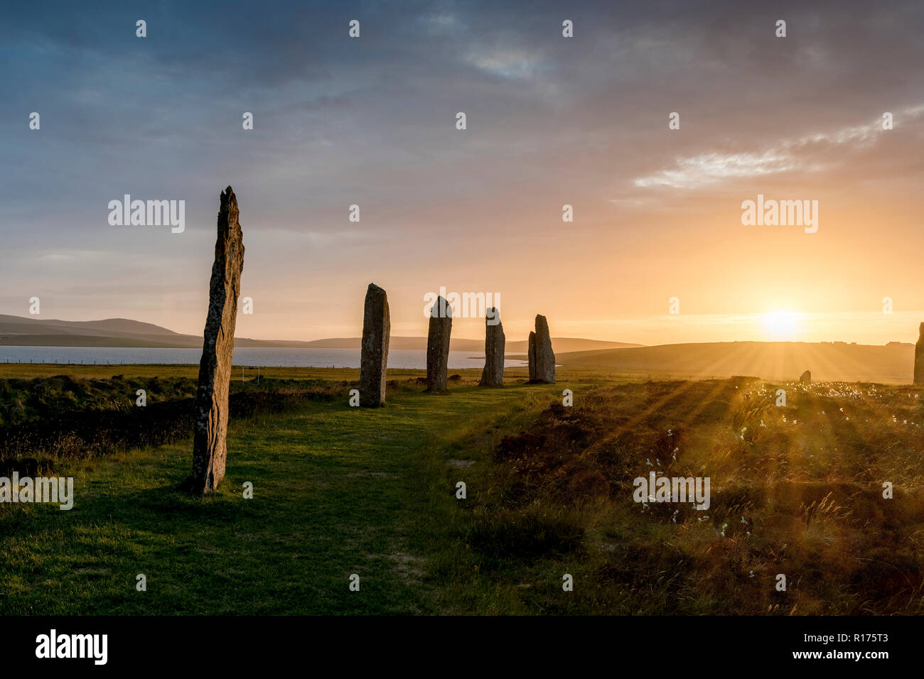 Orkney ad anello di Brodgar neolitico pietre permanente, cerchio di pietra, solstizio d'estate. Foto Stock