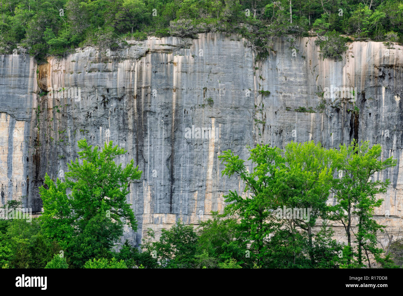 Roark il promontorio che sovrasta il fiume di Buffalo, Buffalo fiume nazionale- Acciaio Creek unità, Arkansas, STATI UNITI D'AMERICA Foto Stock