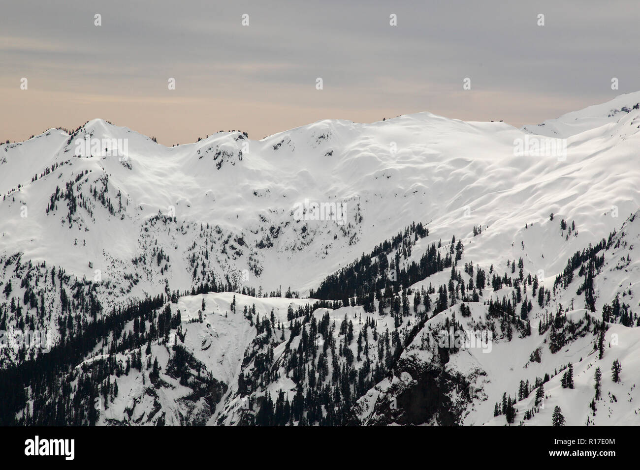 Belle montagne coperte di neve e alberi a Mt. Baker Ski Resort, Washington, Stati Uniti d'America Foto Stock