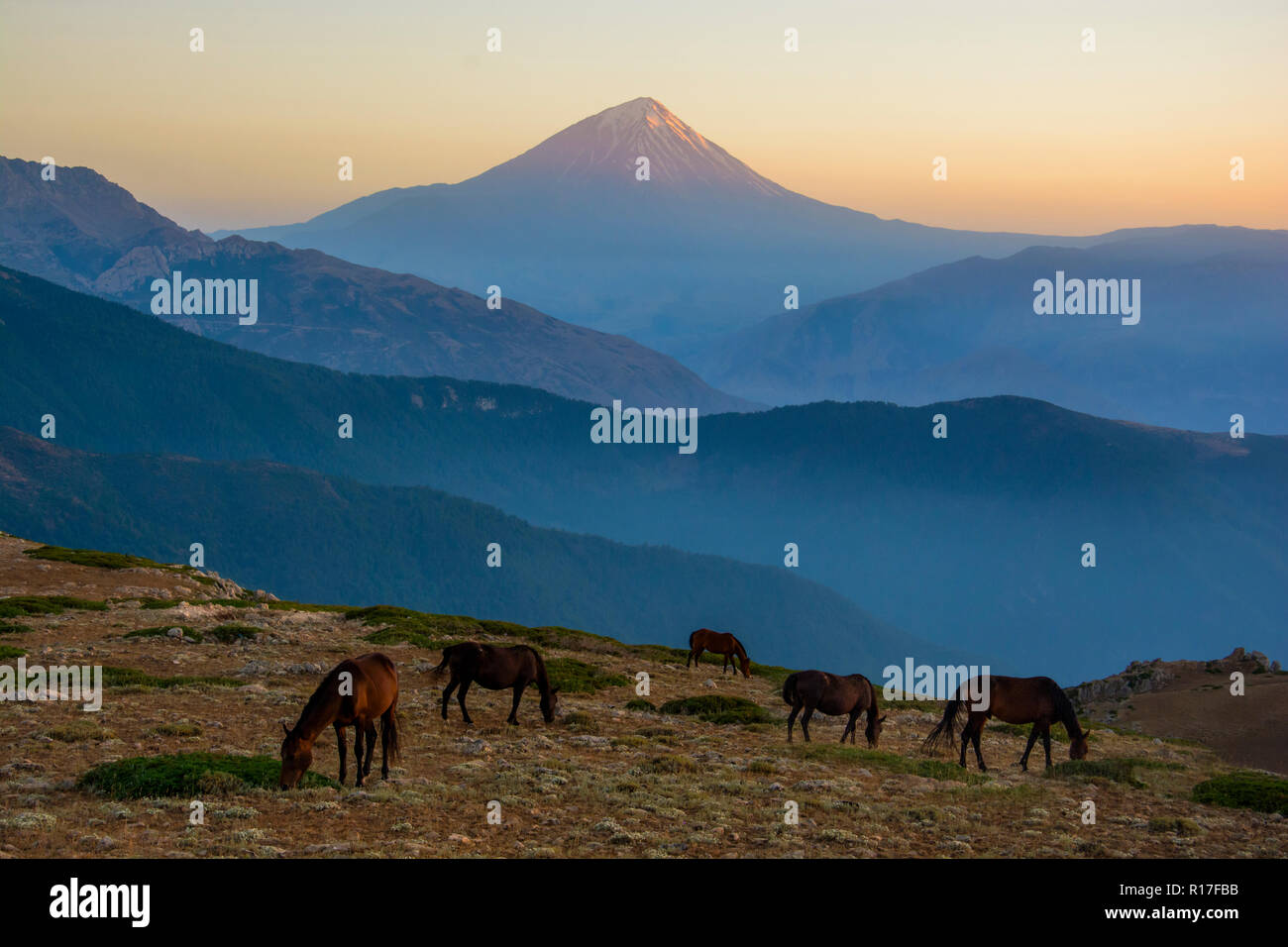 Il monte Damavand, potenzialmente un vulcano attivo è uno stratovulcano che è la vetta più alta in Iran e il vulcano più alto d'Asia. Foto Stock