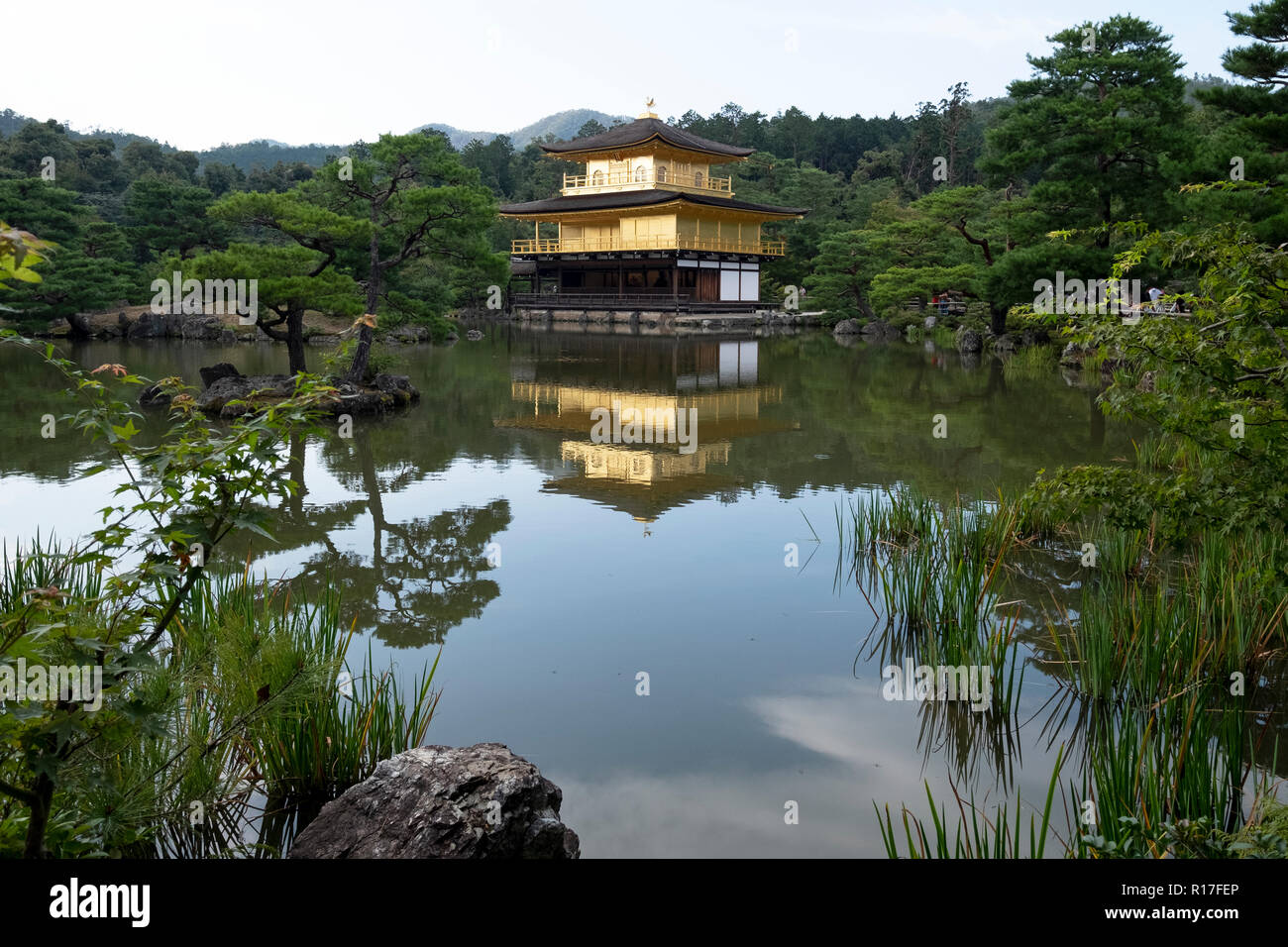 Il Tempio del Padiglione Dorato a Kyoto, Giappone Foto Stock