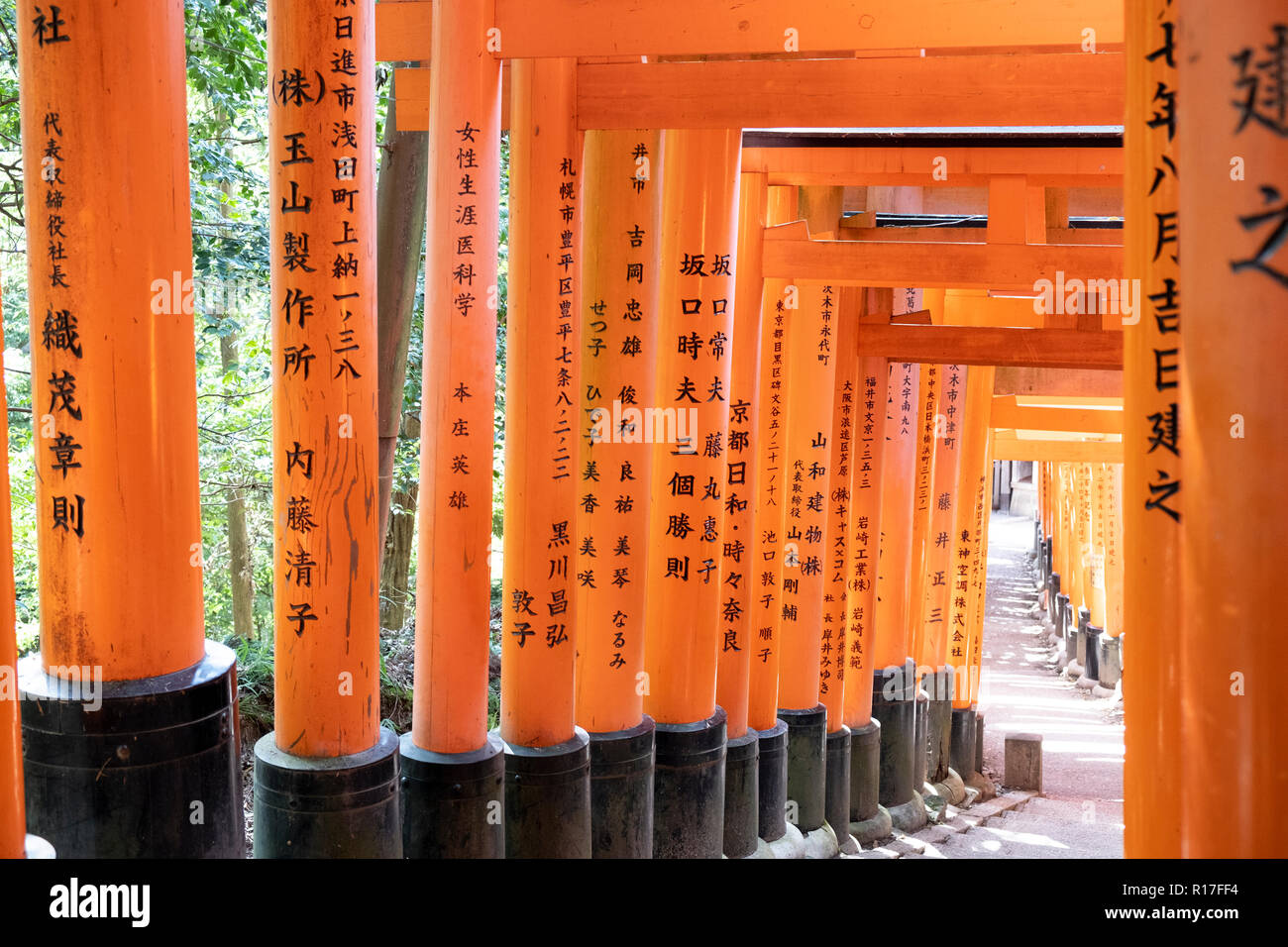 Torii gates a Fushimi Inari Shrine in Kyoto, Kansai, Giappone Foto Stock