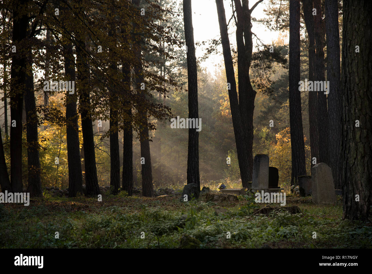 Cimitero musulmano, Kruszyniany, luogo di sepoltura, autunno, alberi, pace, luogo di culto e di preghiera, gli oggetti contrassegnati per la rimozione definitiva Foto Stock