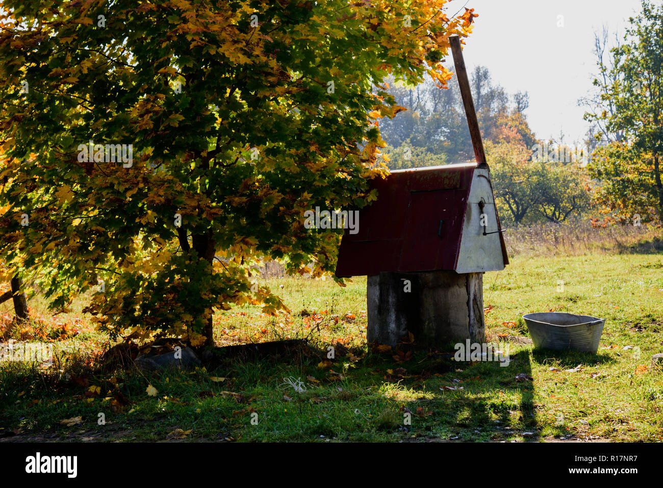 Un rurale paesaggio autunnale con un pozzo e un albero Foto Stock