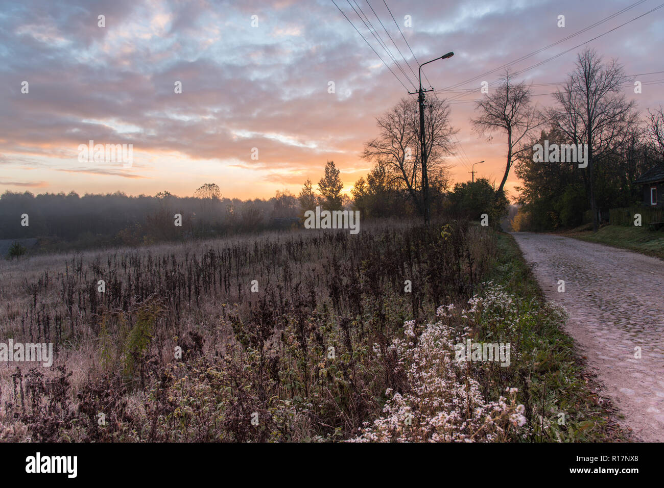 Sunrise, nebbia, raggi solari, mattina, paesaggio, visualizzare in campagna, terra di campi arati, foglie, autunno Foto Stock