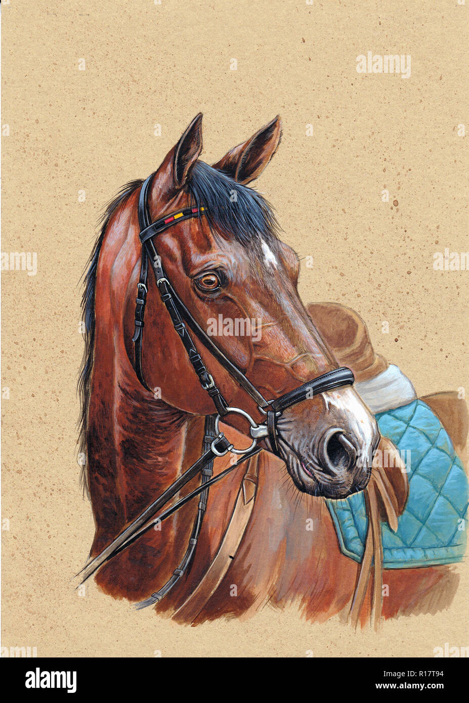 Purosangue. Foto Stock