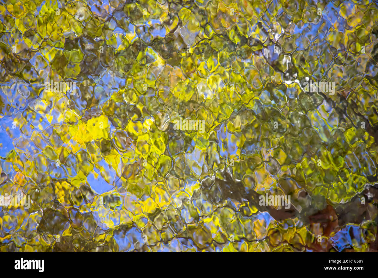 La riflessione di verde fogliame di autunno e cielo blu nell'acqua di uno stagno. La Grecia Foto Stock