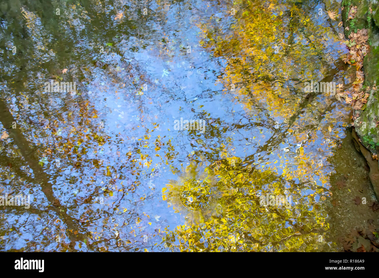 La riflessione di alberi con fogliame di autunno e cielo blu nell'acqua di stagno. La Grecia Foto Stock