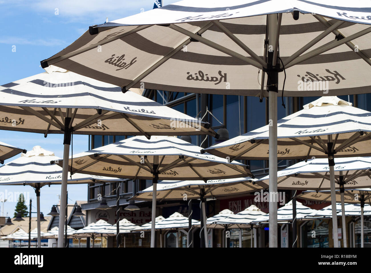 Kailis Fish Market Cafe ombrelloni con nessun popolo Fremantle Foto Stock
