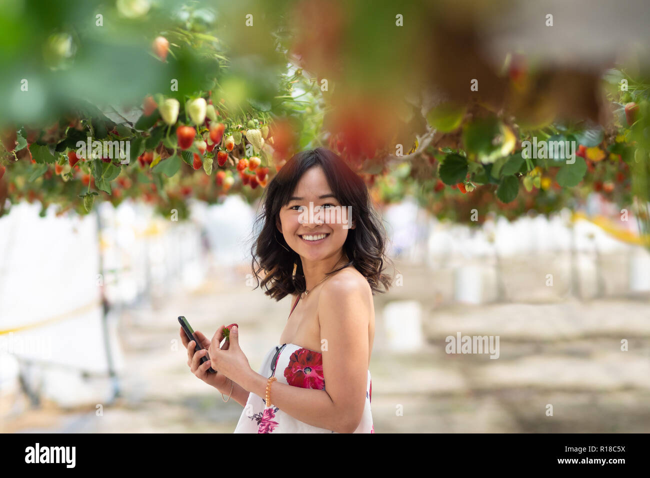 Giovane donna in una fattoria di fragola Foto Stock