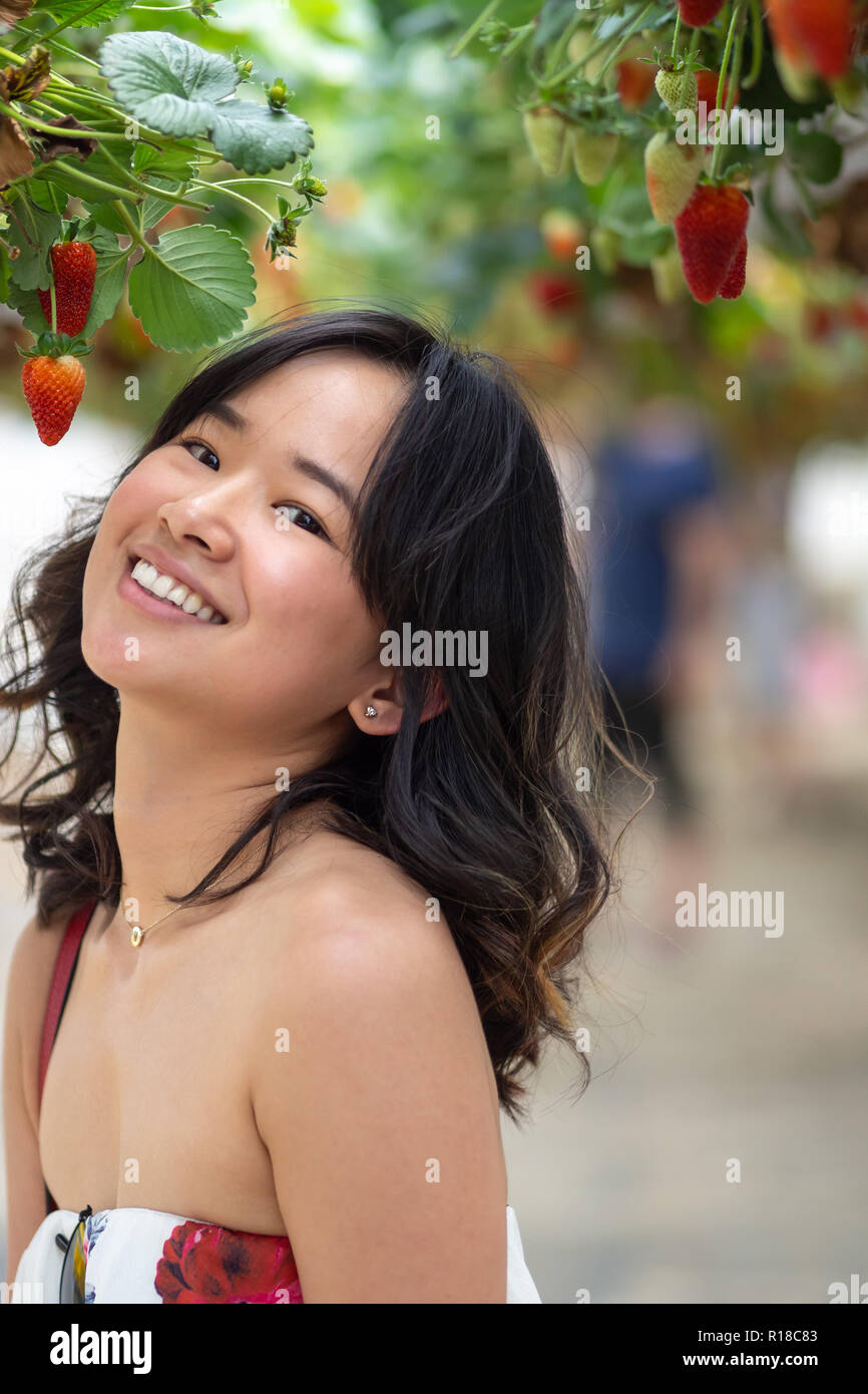 Giovane donna in una fattoria di fragola Foto Stock
