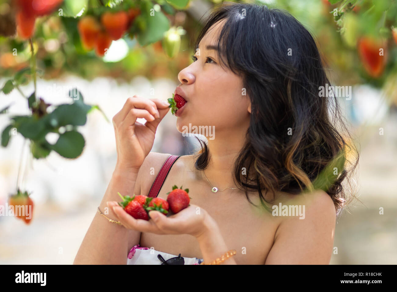 Giovane donna in una fattoria di fragola Foto Stock