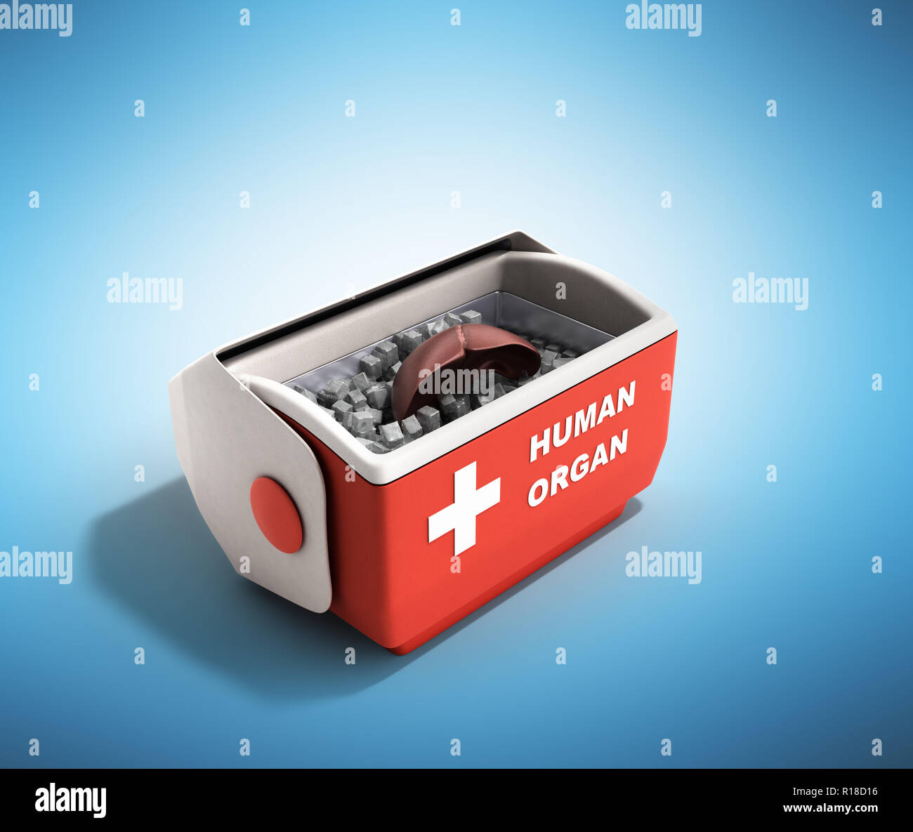 Trasporto organi concetto aperto organo umano frigo box rosso 3D render su sfondo blu Foto Stock