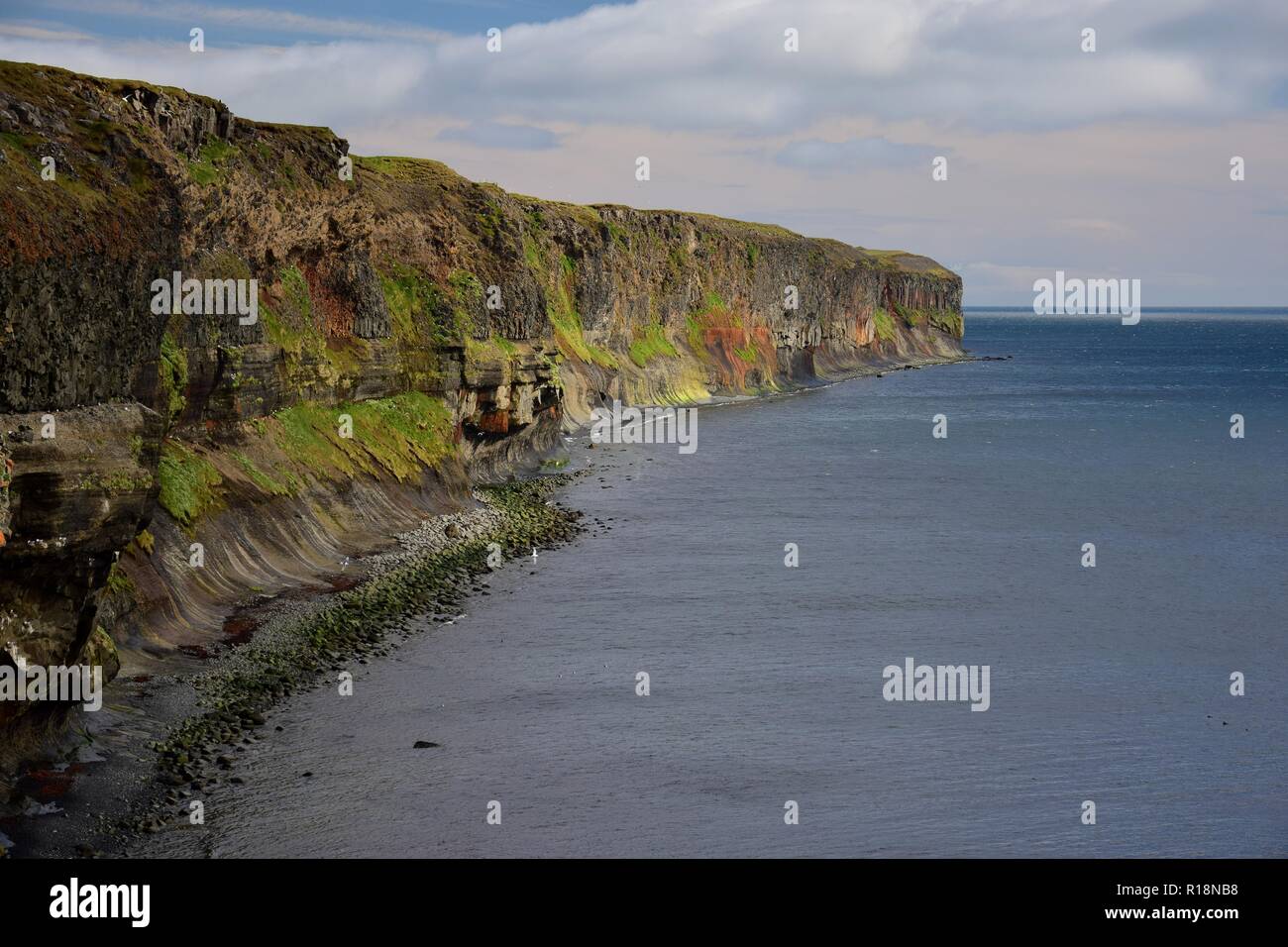 Paesaggio islandese. Colorful rocce della costa ovest della penisola Skagi. Oceano. Foto Stock