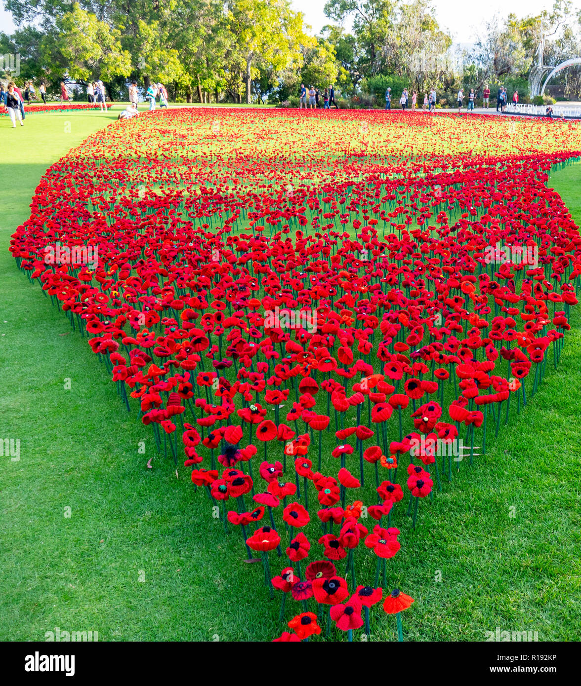 2018 Giorno del Ricordo di papavero display del progetto di papaveri artigianalmente in Kings Park Perth Western Australia Foto Stock