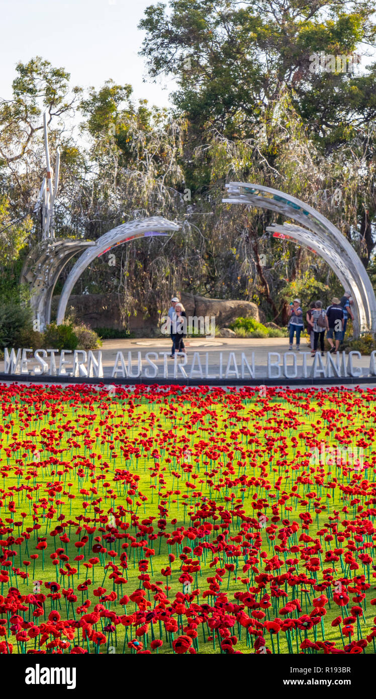 2018 Giorno del Ricordo di papavero display del progetto di papaveri artigianalmente in Kings Park Perth Western Australia Foto Stock