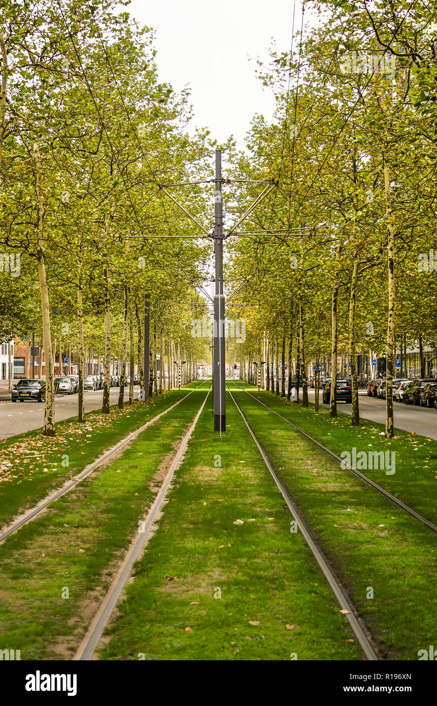 Rotterdam, Paesi Bassi, ottobre 21, 2018: le vie della città i tram su una striscia di erba nel centro di Laan op Zuid boulevard Foto Stock