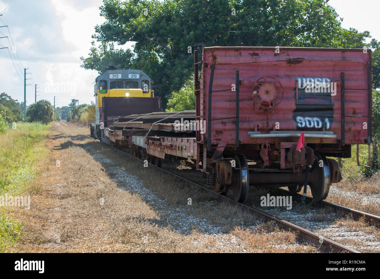 Locomotiva Diesel treno Foto Stock
