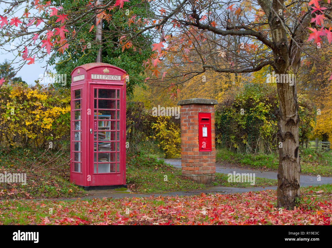 Un telefono rosso e il formato letterbox su un colorato autunno il giorno in Shackleford, vicino a Godalming Surrey, Inghilterra Foto Stock