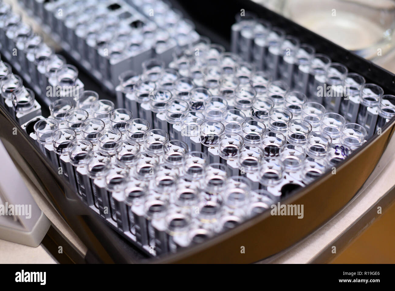 Recipienti di laboratorio con le analisi per la ricerca medica Foto Stock