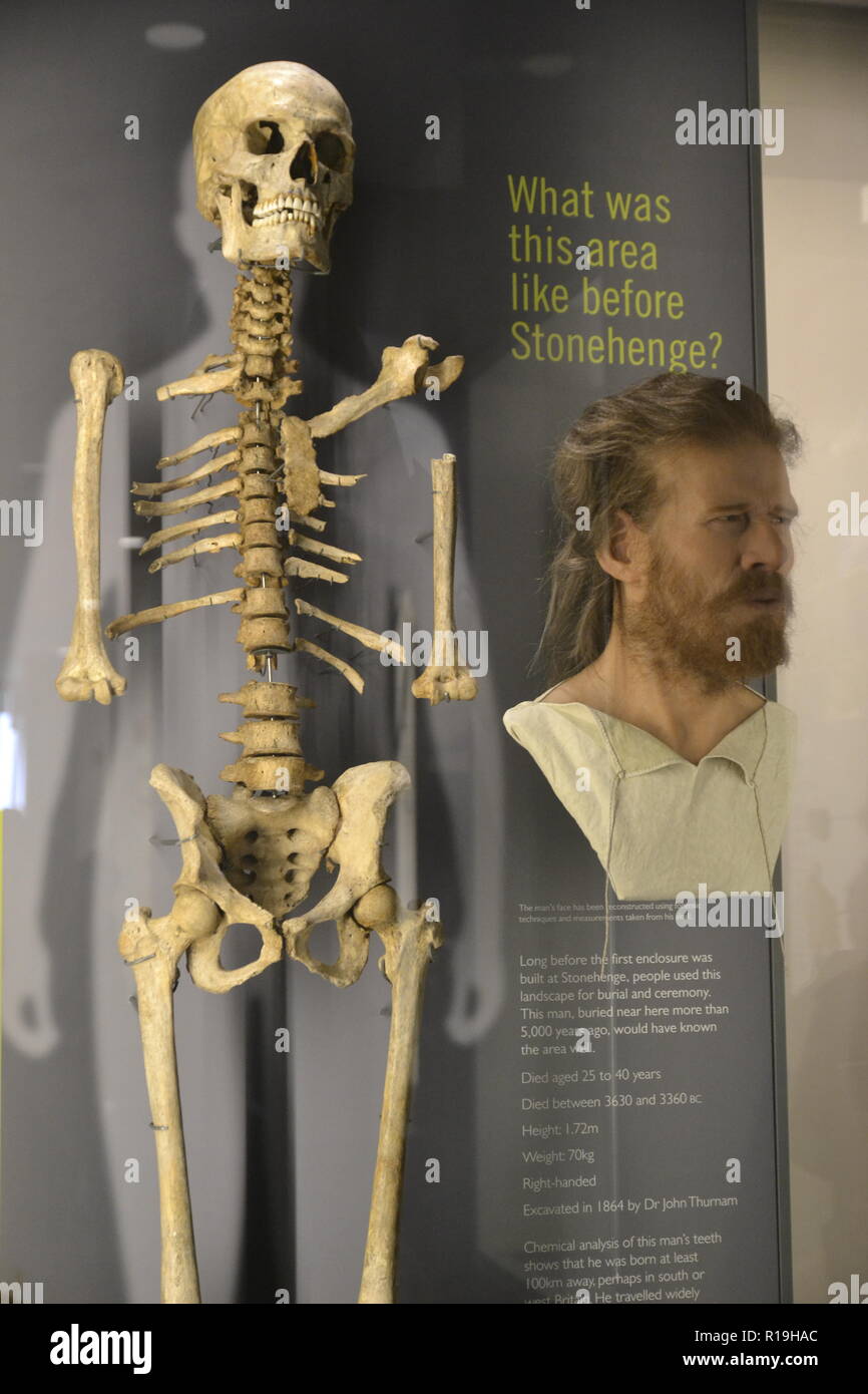 Scheletro trovato sepolto vicino a Stonehenge e una ricreazione di ciò che egli potrebbe avere un aspetto simile. Mostra a Stonehenge Visitor Center, Wiltshire, Regno Unito Foto Stock