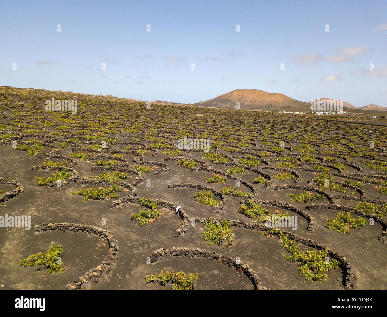Vista aerea del vino delle colture su terreni di origine vulcanica dell'isola di Lanzarote, pianure e colline dell'entroterra. Isole Canarie Spagna Foto Stock